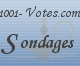 http://www.1001-votes.com/