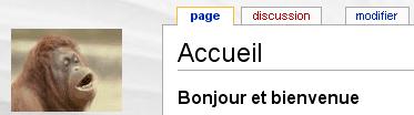 http://firstorangutan.free.fr/mediawiki